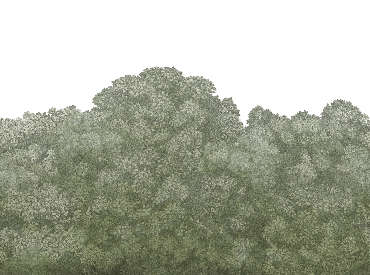 Belle Buisson, Green Mural Wallpaper - pure wallpaper artwork