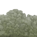 Belle Buisson, Green Mural Wallpaper - pure wallpaper artwork