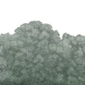 Belle Buisson, Turquoise Mural Wallpaper - pure wallpaper artwork