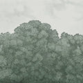 Belle Buisson, Turquoise Vintage Mural Wallpaper - pure wallpaper artwork