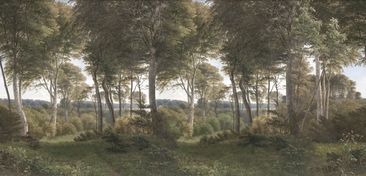 Danish Forest, Morning Mural Wallpaper - pure wallpaper artwork