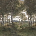 Danish Forest, Morning Mural Wallpaper - pure wallpaper artwork