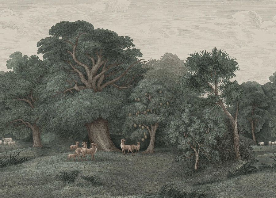 Jungle Forest, Dark Mural Wallpaper