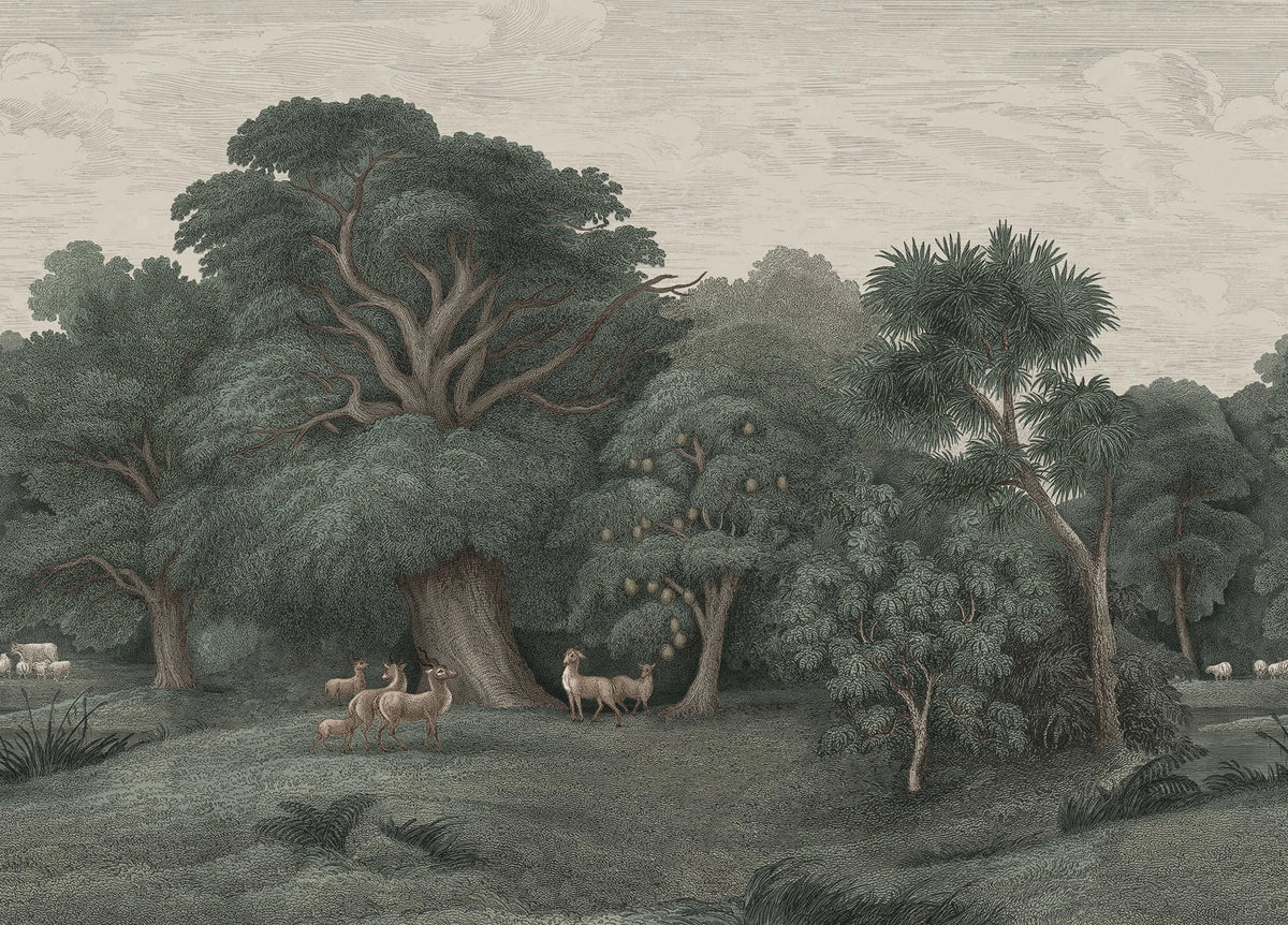 Jungle Forest, Dark Mural Wallpaper - pure wallpaper artwork