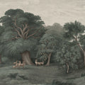 Jungle Forest, Dark Mural Wallpaper - pure wallpaper artwork