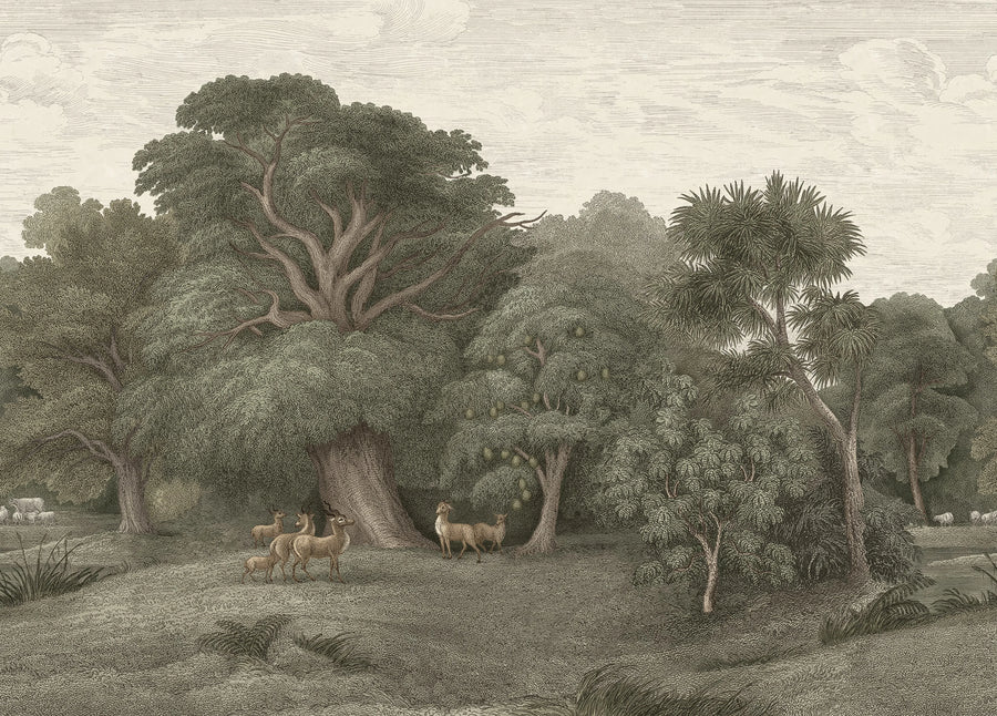 Jungle Forest, Green Mural Wallpaper