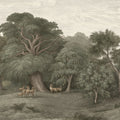 Jungle Forest, Green Mural Wallpaper - pure wallpaper artwork