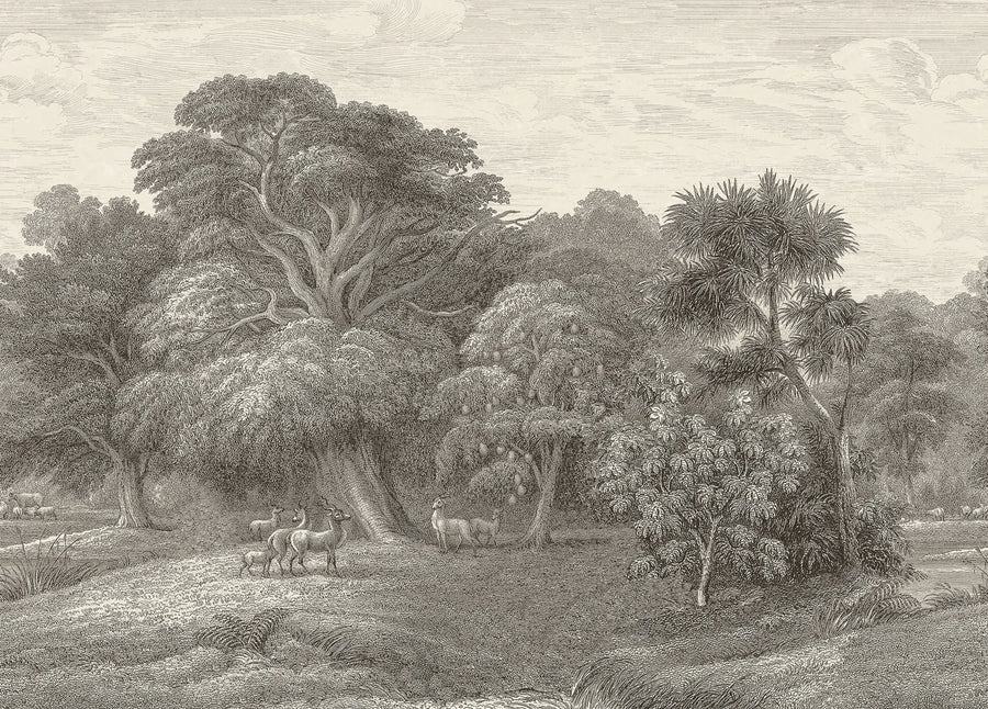 Jungle Forest, Beige Mural Wallpaper