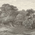 Jungle Forest, Beige Mural Wallpaper - pure wallpaper artwork