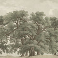 Vintage Oaks, Green Mural Wallpaper - pure wallpaper artwork