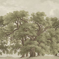 Vintage Oaks, Vintage Mural Wallpaper - pure wallpaper artwork