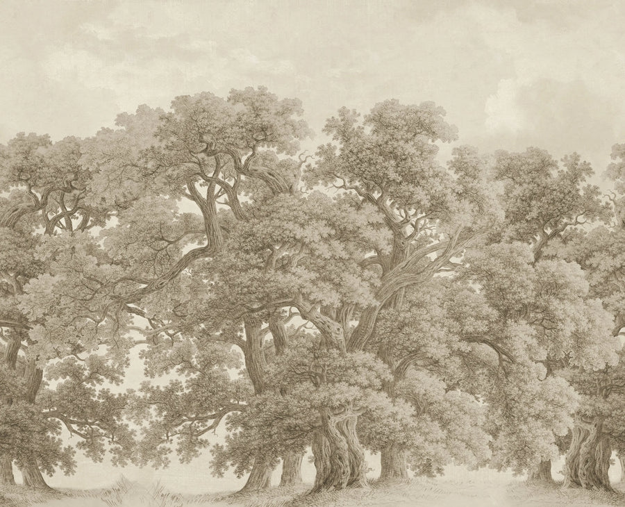 Vintage Oaks, Beige Mural Wallpaper