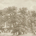 Vintage Oaks, Beige Mural Wallpaper - pure wallpaper artwork