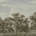 Whispering Forest, Green Mural Wallpaper - pure wallpaper artwork