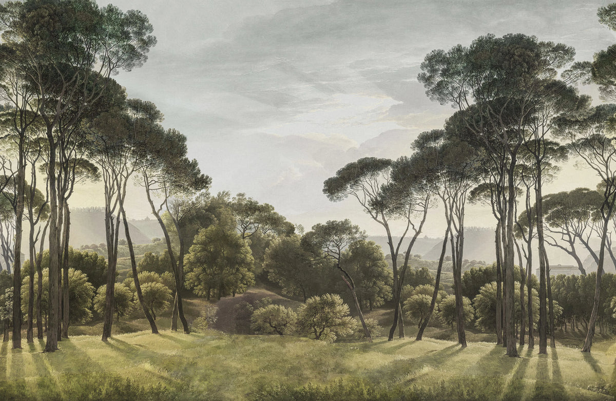 Pine Wood, Green Mural Wallpaper - pure wallpaper artwork