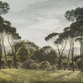Pine Wood, Green Mural Wallpaper - pure wallpaper artwork