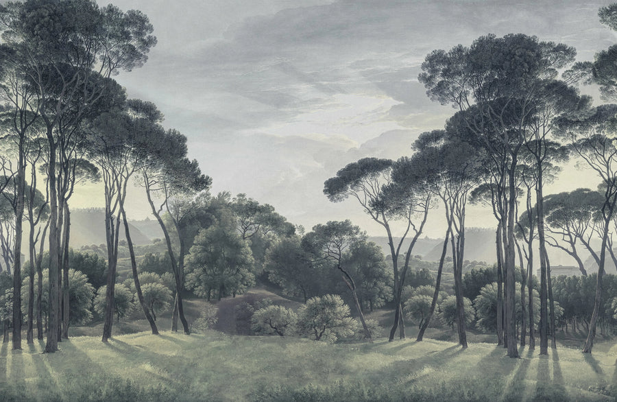 Pine Wood, Blue Mural Wallpaper