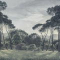 Pine Wood, Blue Mural Wallpaper - pure wallpaper artwork