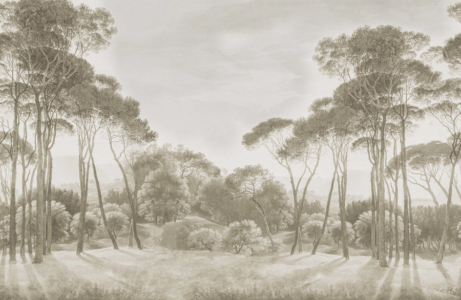 Pine Wood, Vintage Mural Wallpaper