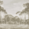 Pine Wood, Vintage Mural Wallpaper - pure wallpaper artwork