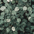 Mystic Water Lilies, Green Mural Wallpaper - pure wallpaper artwork