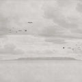 Seabirds, Beige Mural Wallpaper - pure wallpaper artwork