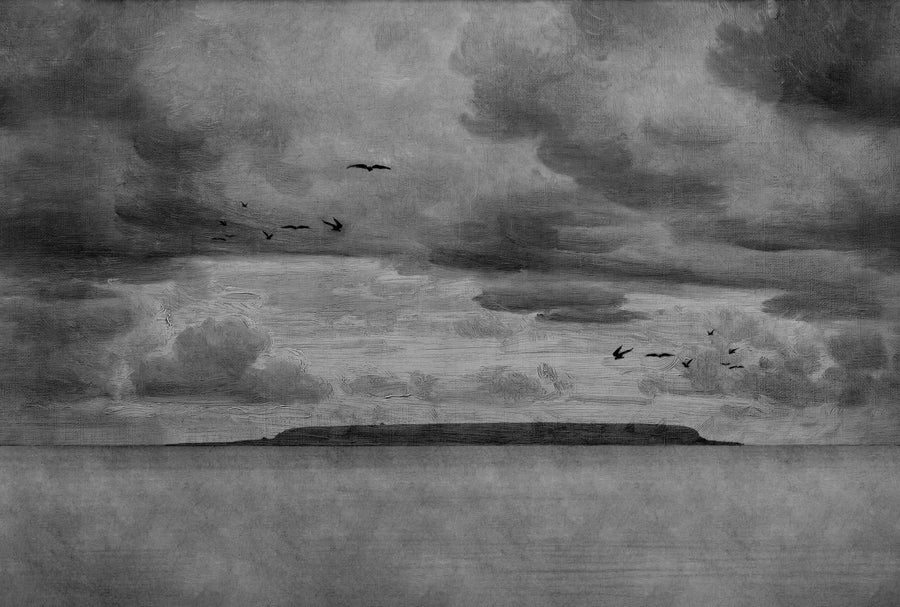 Seabirds, Black & White Mural Wallpaper