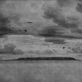 Seabirds, Black & White Mural Wallpaper - pure wallpaper artwork