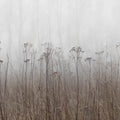 Autumn Haze, Beige Mural Wallpaper - pure wallpaper artwork