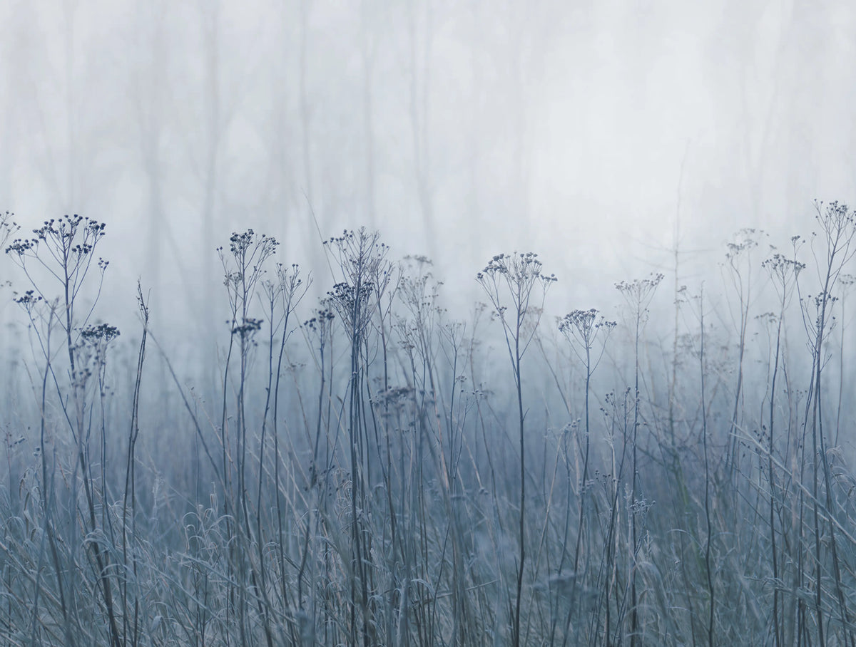 Autumn Haze, Blue Mural Wallpaper - pure wallpaper artwork