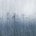 Autumn Haze, Blue Mural Wallpaper - pure wallpaper artwork