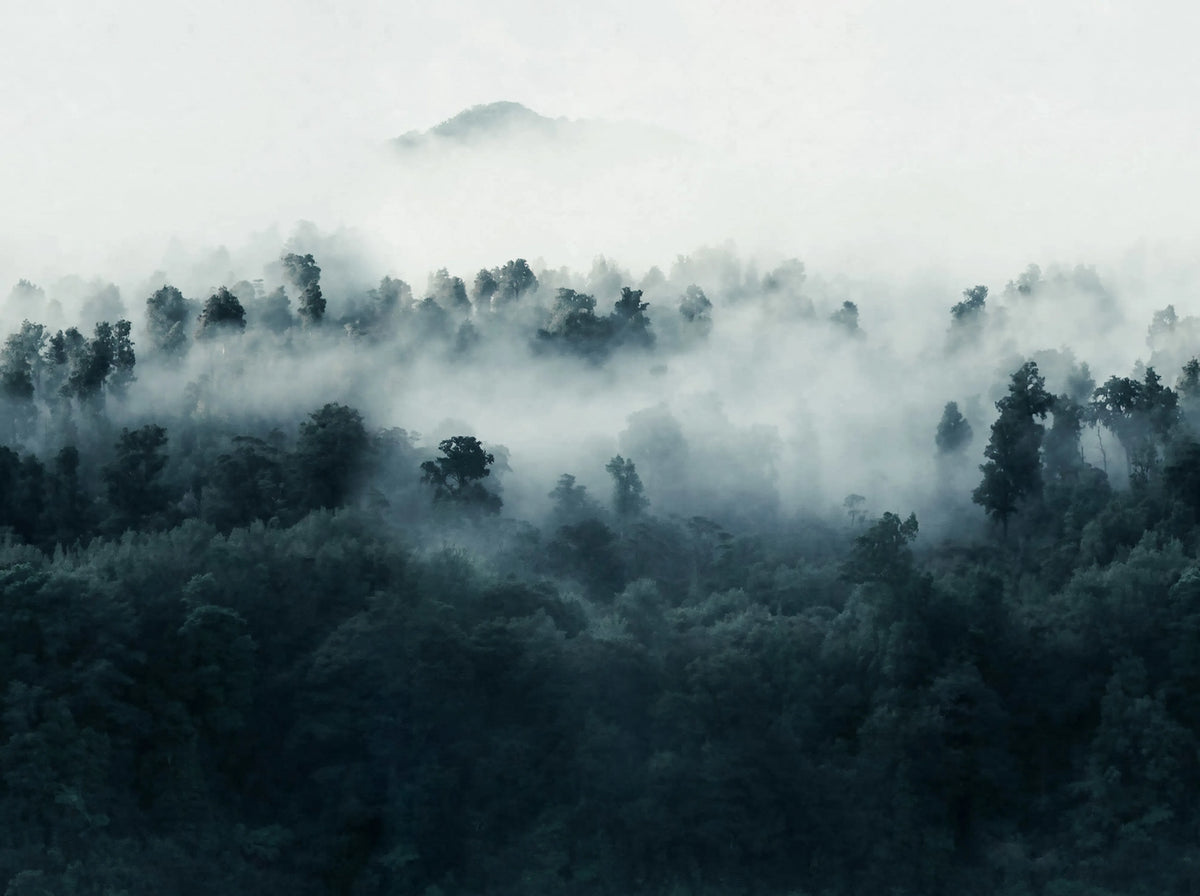 Misty Woodland, Blue Mural Wallpaper - pure wallpaper artwork