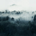 Misty Woodland, Blue Mural Wallpaper - pure wallpaper artwork