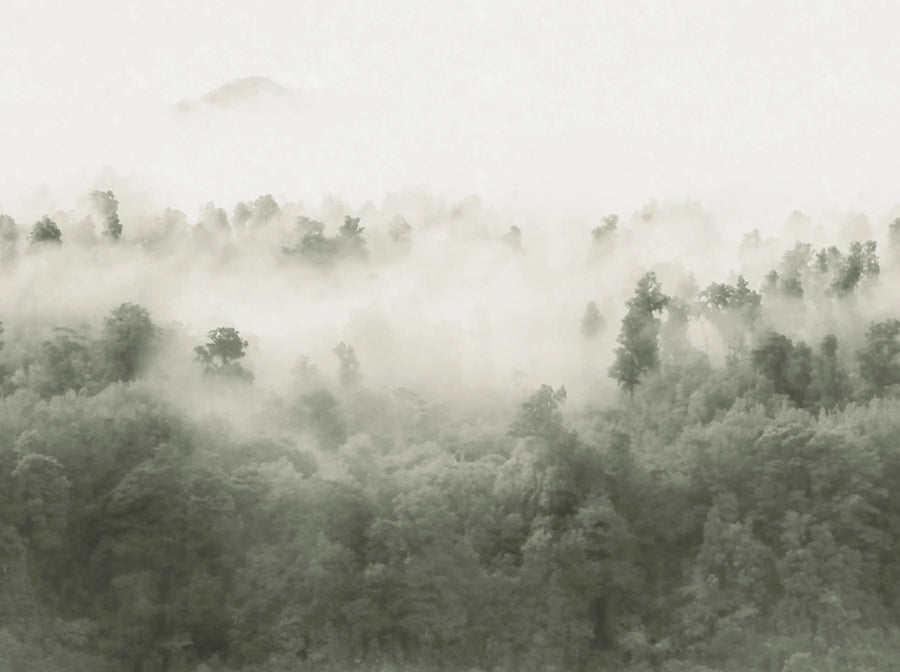 Misty Woodland, Light Green Mural Wallpaper