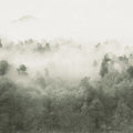 Misty Woodland, Light Green Mural Wallpaper - pure wallpaper artwork