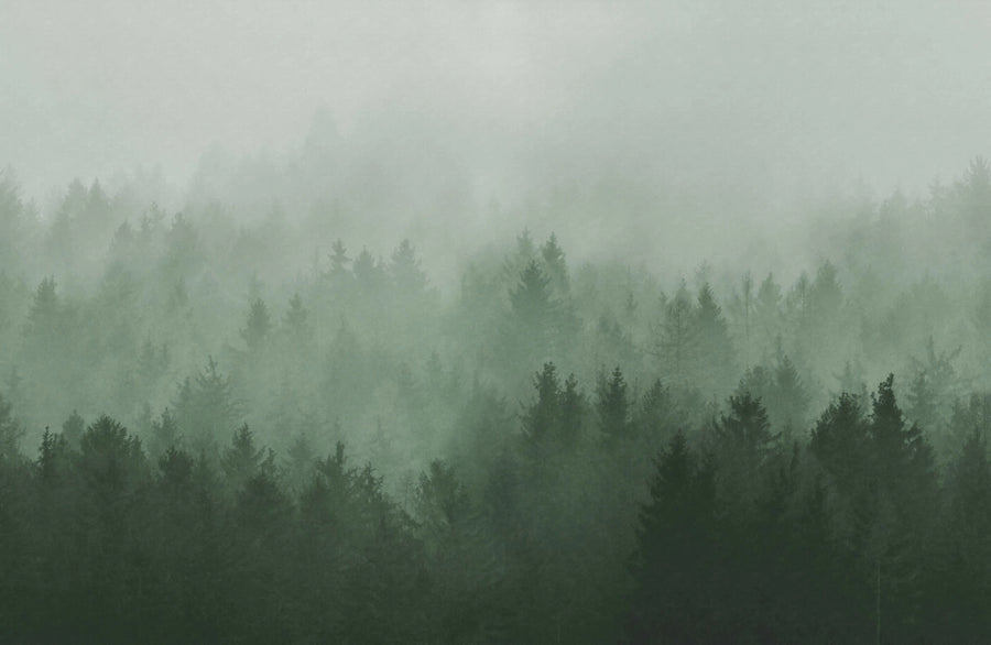 Cloudy Forest, Green Mural Wallpaper