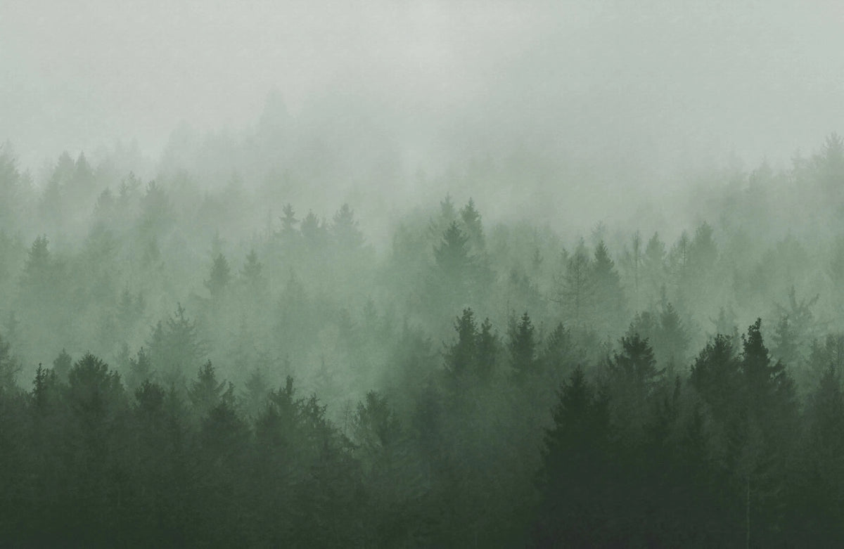 Cloudy Forest, Green Mural Wallpaper - pure wallpaper artwork
