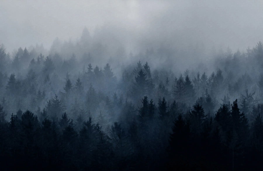 Cloudy Forest, Blue Mural Wallpaper