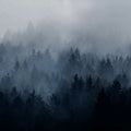 Cloudy Forest, Blue Mural Wallpaper - pure wallpaper artwork