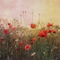 Poppy Field, Dawn Mural Wallpaper - pure wallpaper artwork