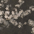 Apple Bloom, Dark Mural Wallpaper - pure wallpaper artwork