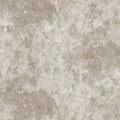 Grapevine Silhouette, Beige Mural Wallpaper - pure wallpaper artwork