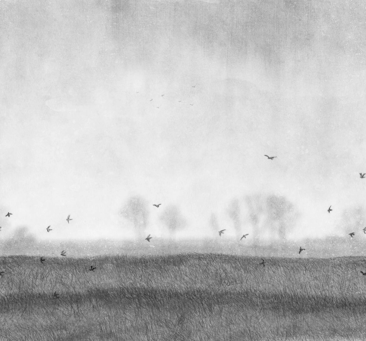 Scandinavian Landscape, Black & White Mural Wallpaper - pure wallpaper artwork