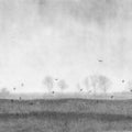 Scandinavian Landscape, Black & White Mural Wallpaper - pure wallpaper artwork