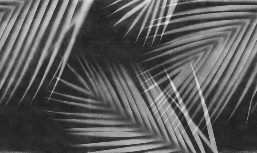 Palm Gaze, Black & White Mural Wallpaper