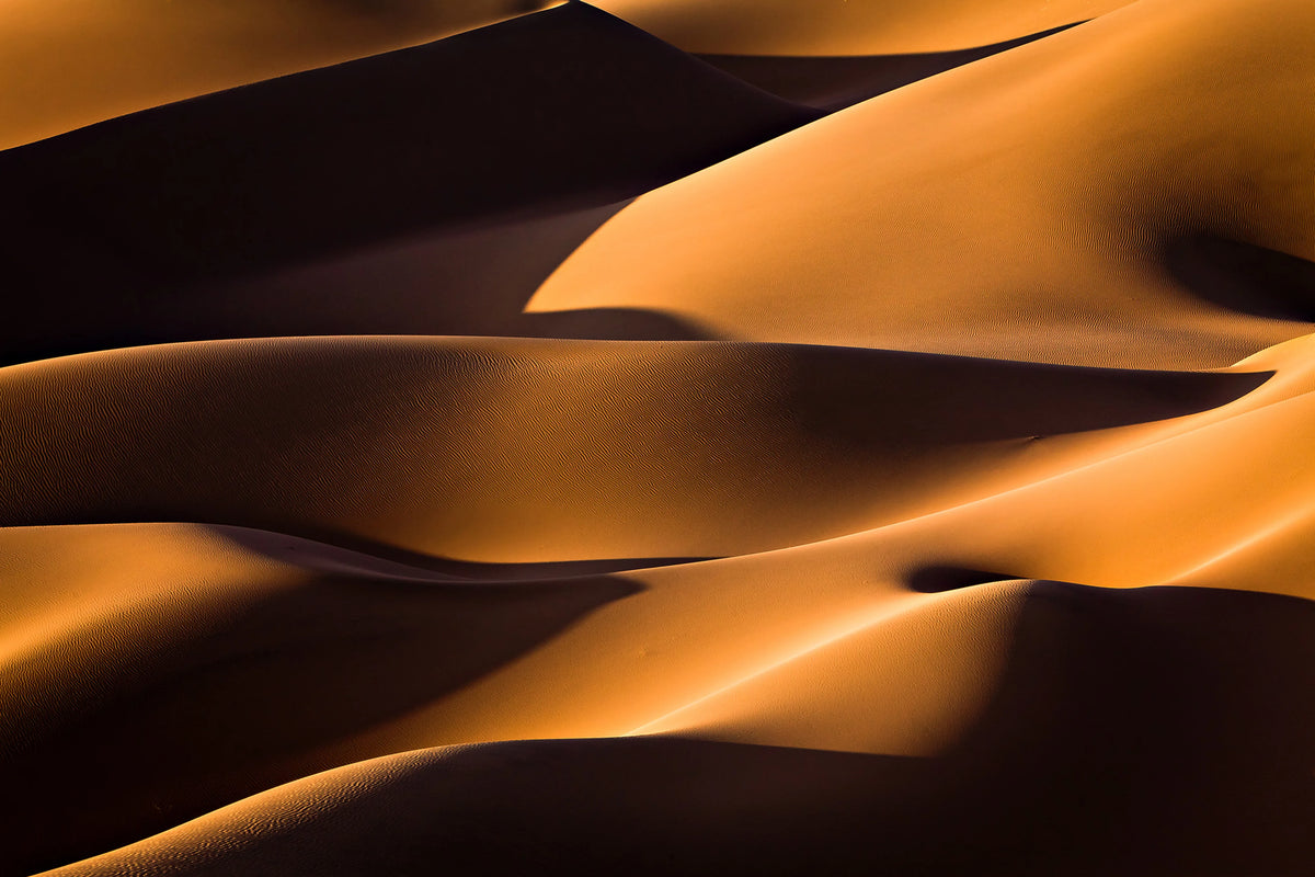 Sahara Mural Wallpaper - pure wallpaper artwork