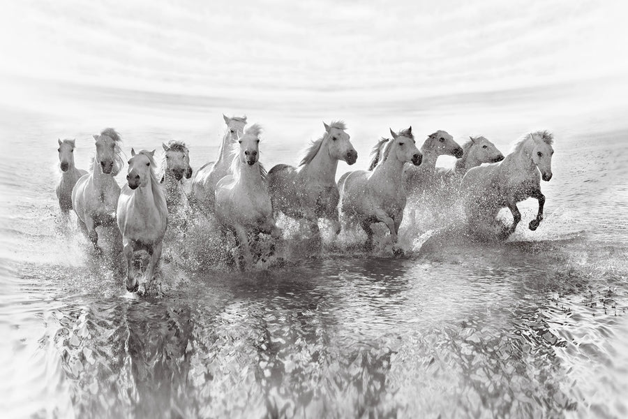 Running Horses Mural Wallpaper