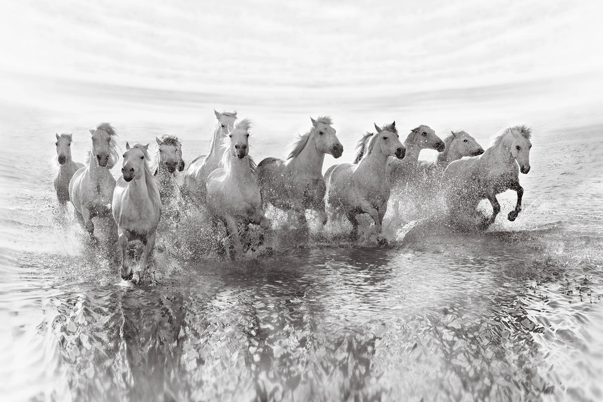 Running Horses Mural Wallpaper - pure wallpaper artwork