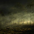 Oh My Deer Mural Wallpaper - pure wallpaper artwork