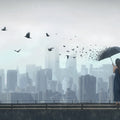 Rain Bird Mural Wallpaper - pure wallpaper artwork